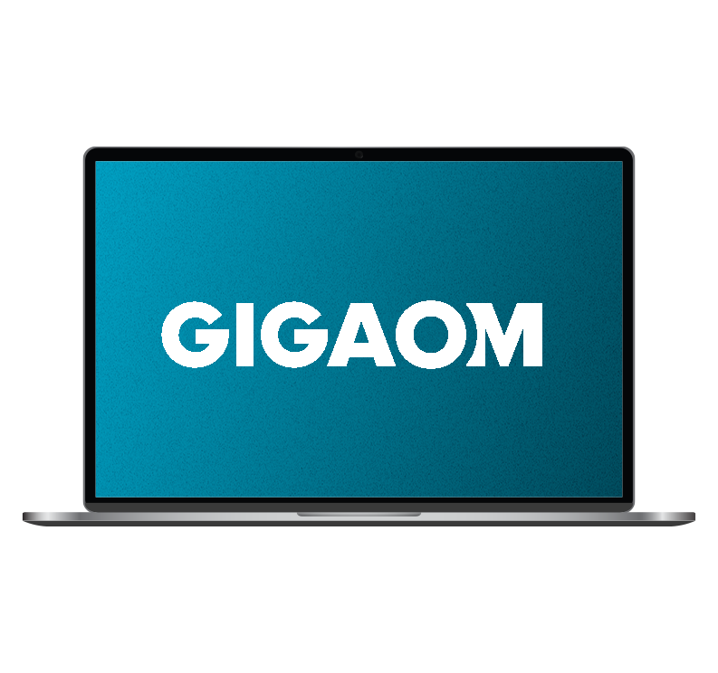 2024 年数据和人工智能保护：首席信息安全官需要了解什么