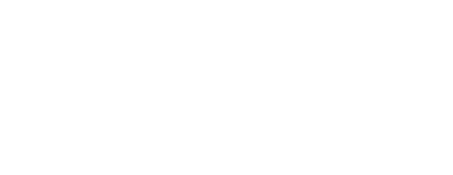 Carnival Corporation Customer Story Logo