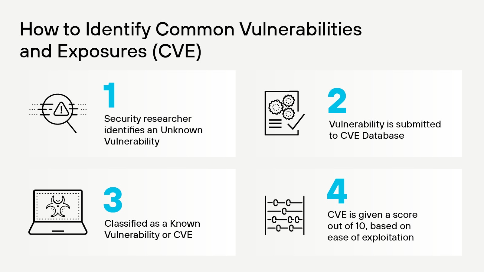 CVE 识别过程