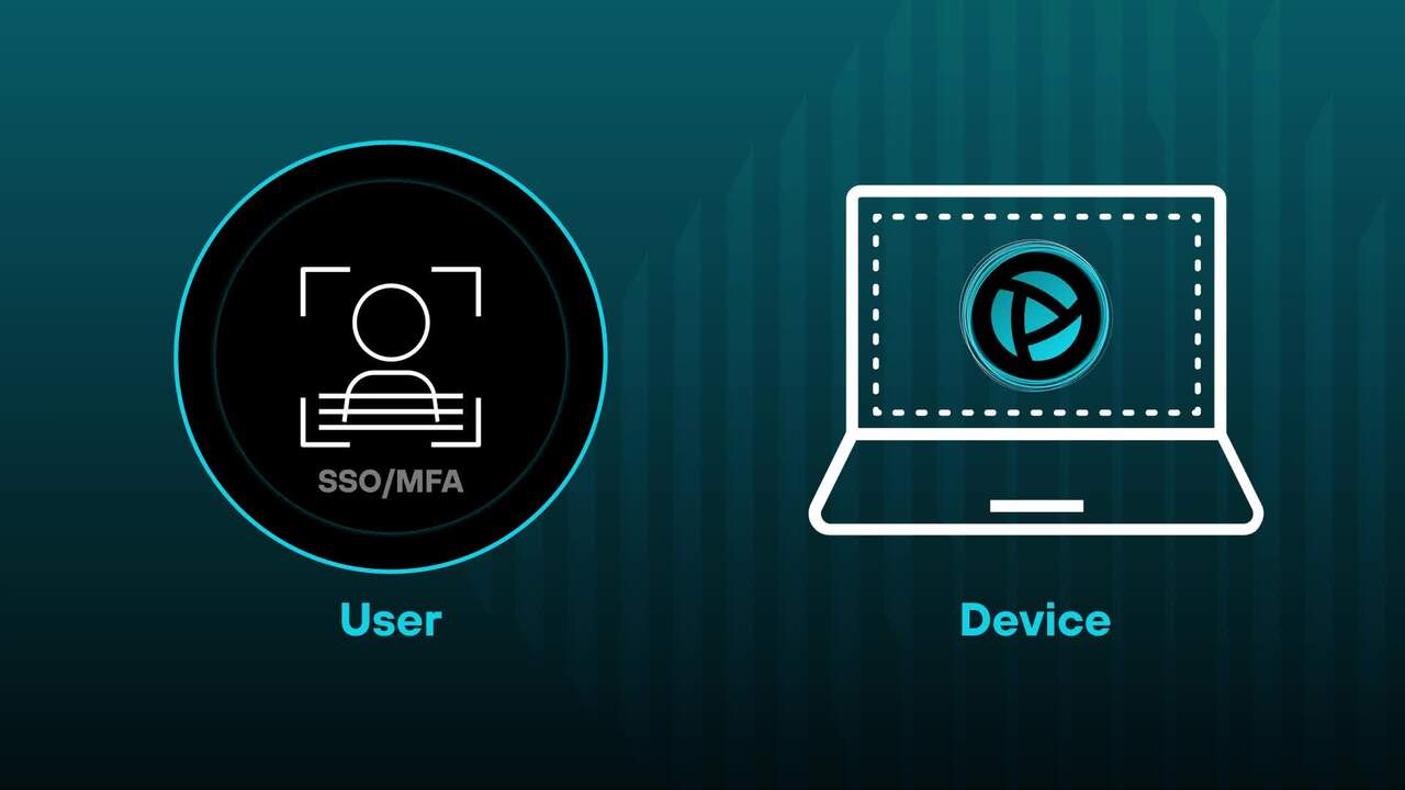 Prisma Browser 助力缩减 VDI